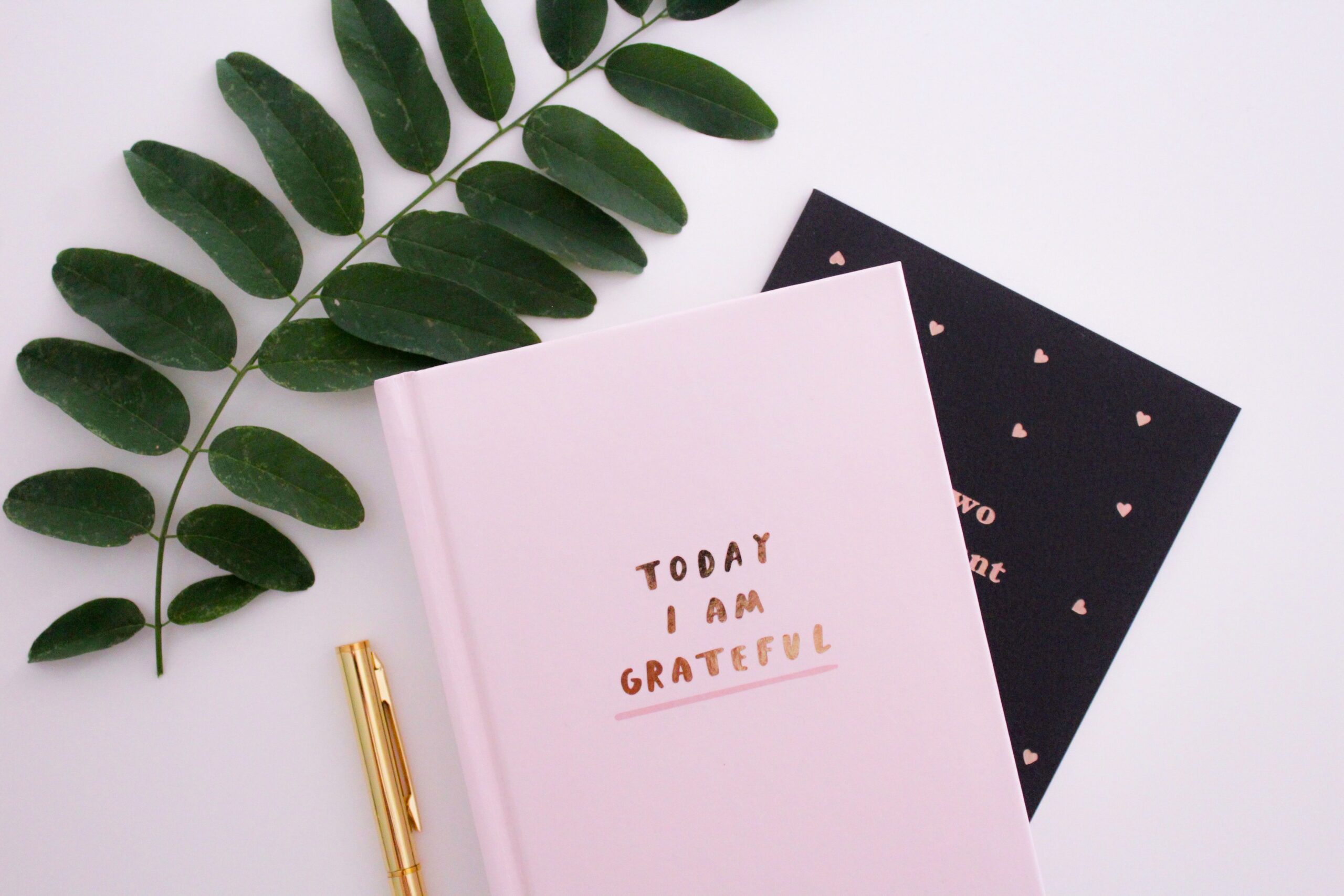 A gratitude journal helps you remember what matters most.